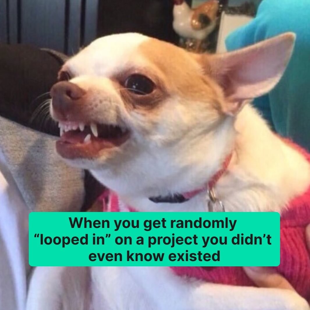 Grammarly Meme Facebook Ad