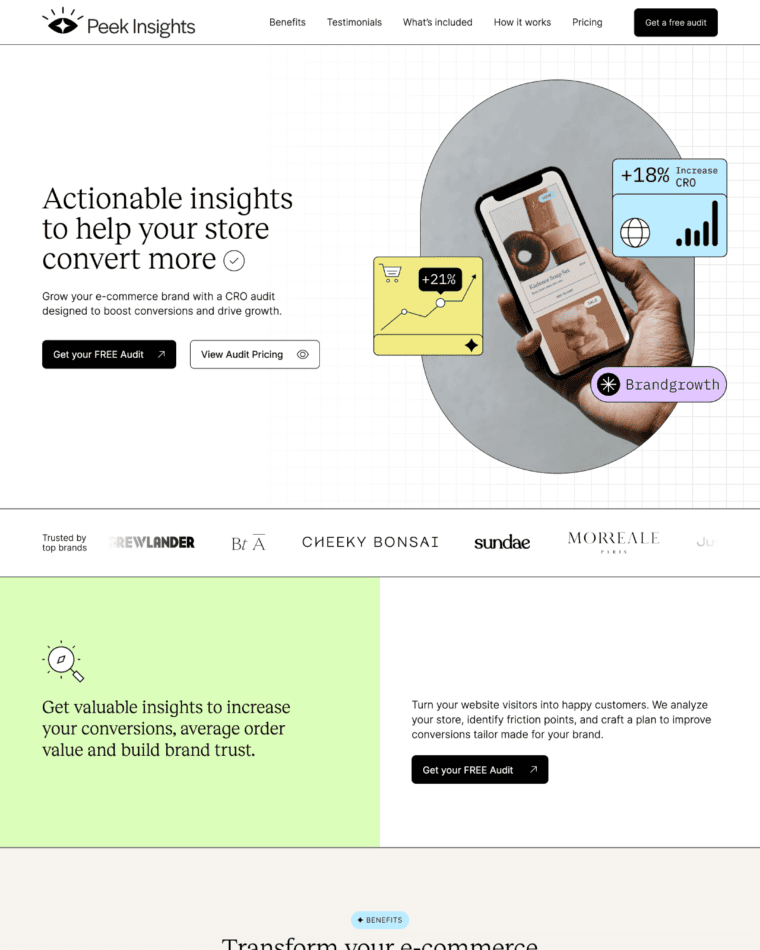 Peek Insights SaaS Landing Page